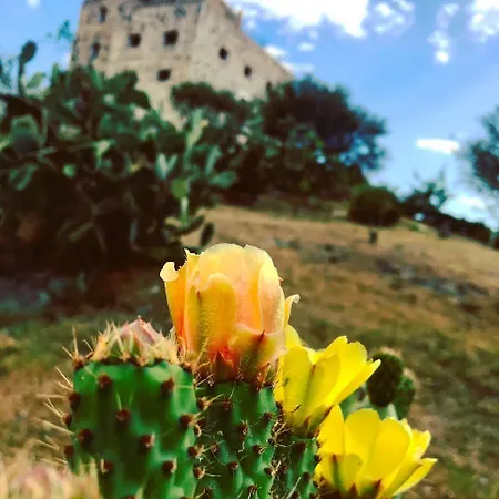 Castello Malicas 2* Galtelli