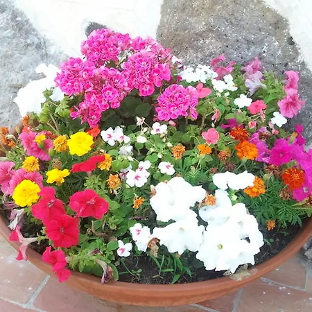 מלון Castello Malicas 2*