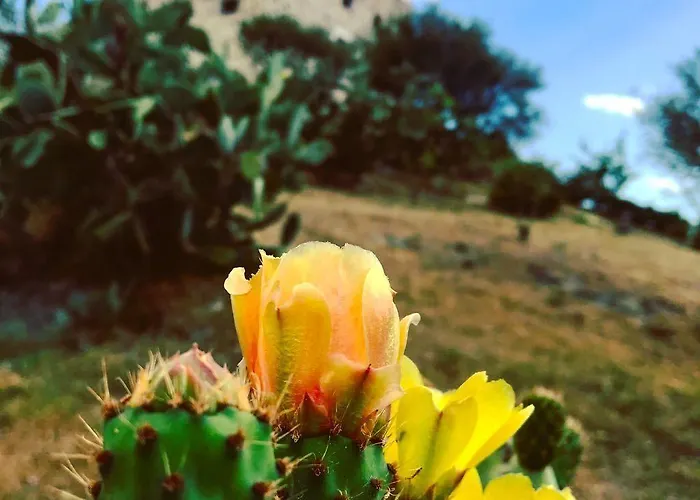 Castello Malicas 2* Гальтелли